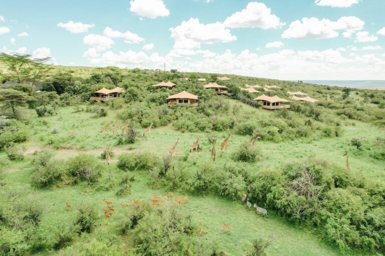 Bushtops camps mara bushtops