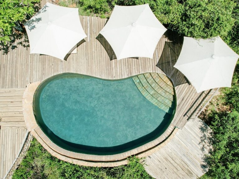 Bushtops camps mara bushtops pool