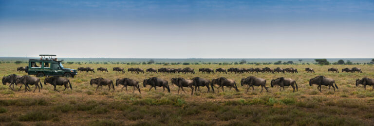 © andbeyond serengeti under canvas
