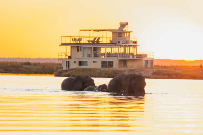 Zambezi queen collection chobe princess neu 1