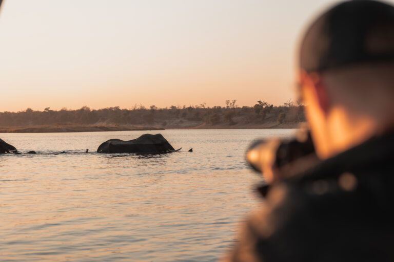 Zambezi queen collection chobe princess neu 9