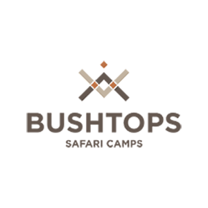 Bushtops safari buchen welt der reisen reisebuero hamburg