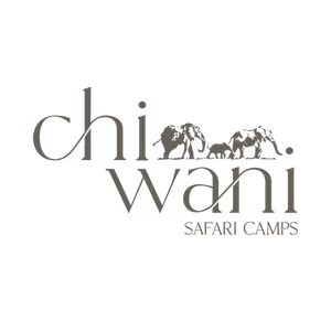 Chiwani safari buchen welt der reisen reisebuero hamburg