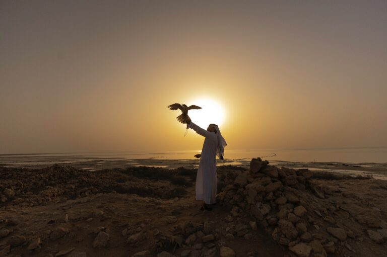 Falken doha stopover qatar welt der reisen