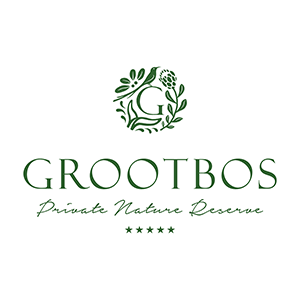 Gtootbos safari buchen welt der reisen reisebuero hamburggrootbos