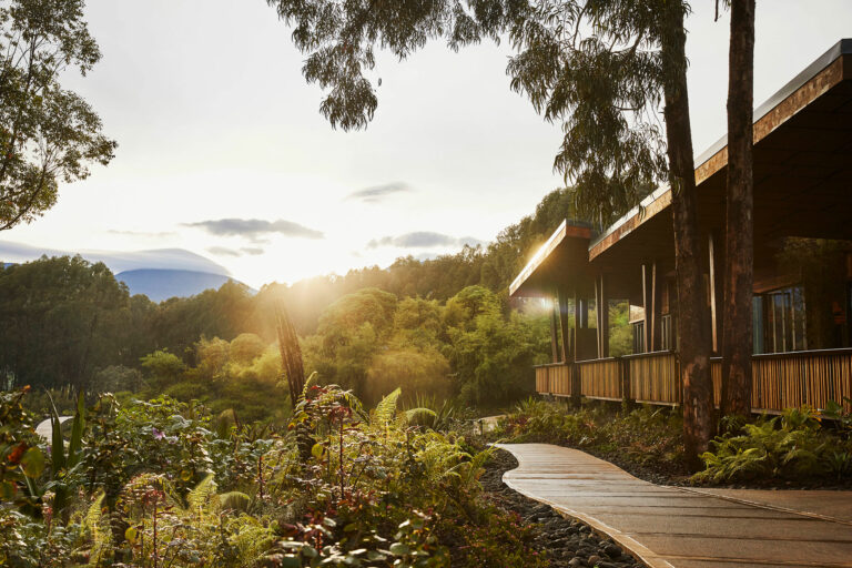 © one&only gorilla's nest