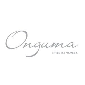 Onguma safari buchen welt der reisen reisebuero hamburg