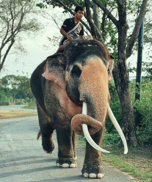 Private rundreise: thailand | welt der reisen