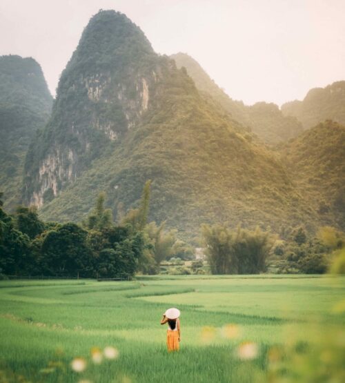 Private rundreise: vietnam | welt der reisen